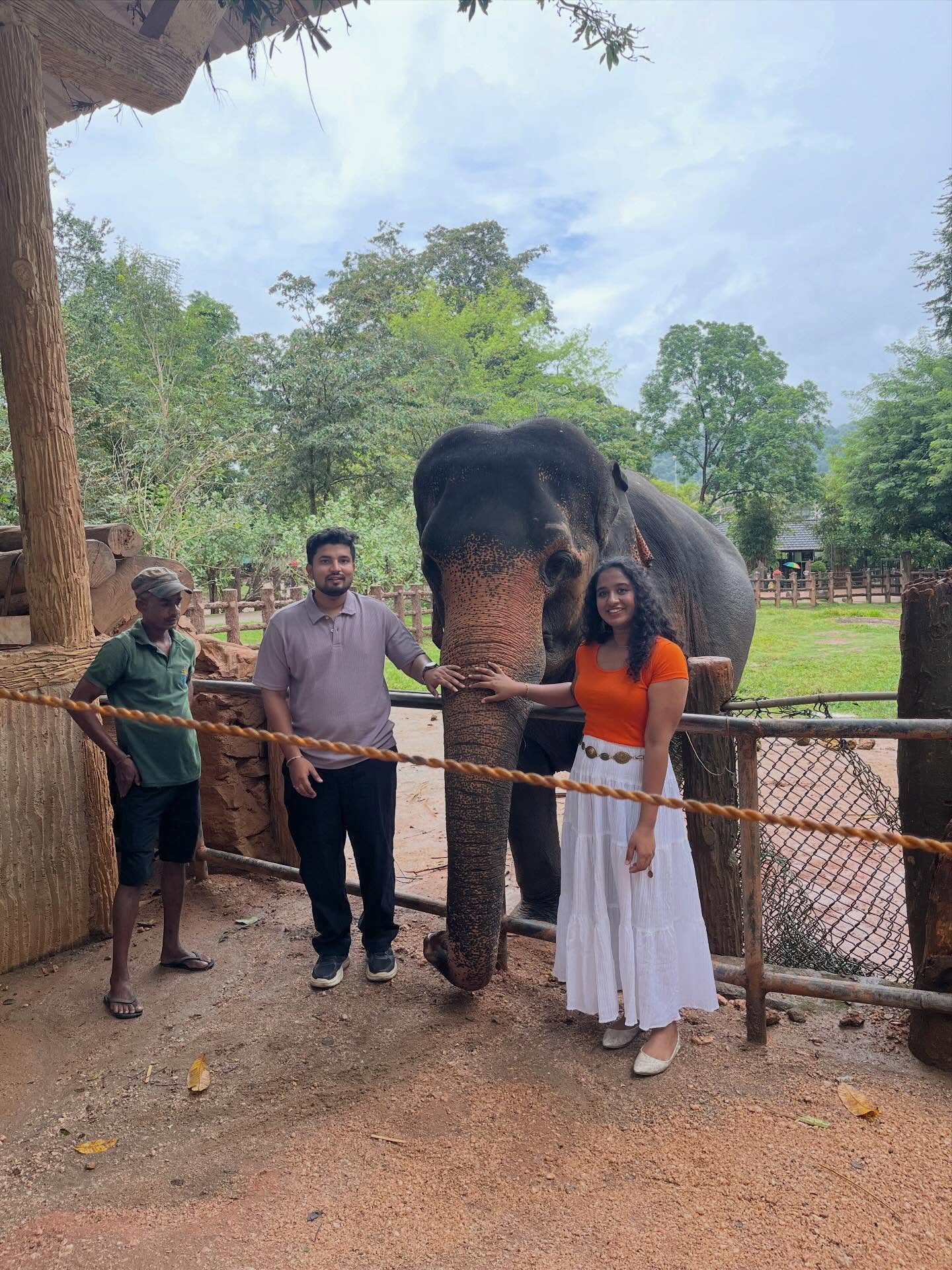 A moment from Sri Lanka, shared by FlyCatcher Ceylon.