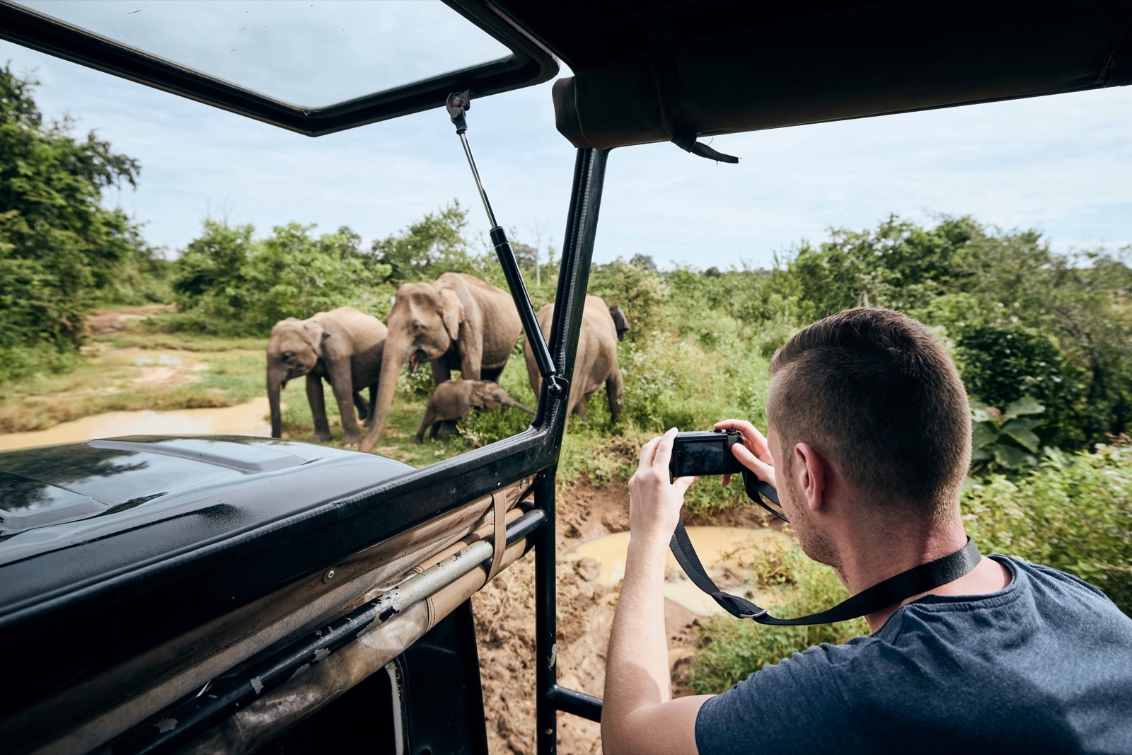 A traveler photographing an elephant family from a safari jeep