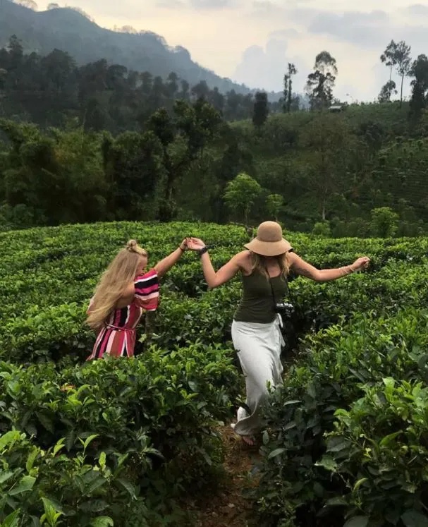 Two travelers walking through tea fields in Sri Lanka's hill country