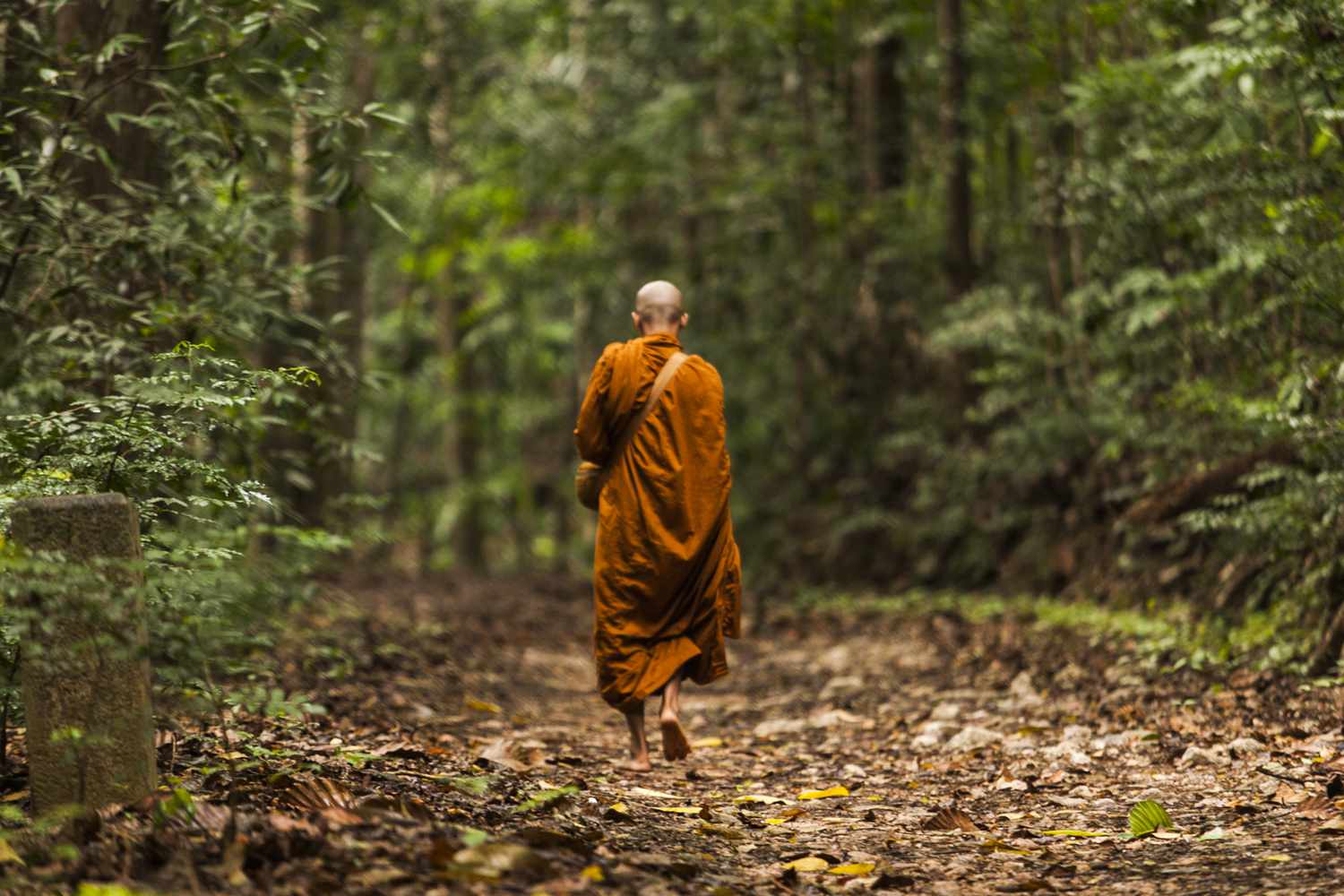 A Buddhist monk walking through a secluded Sri Lankan forest