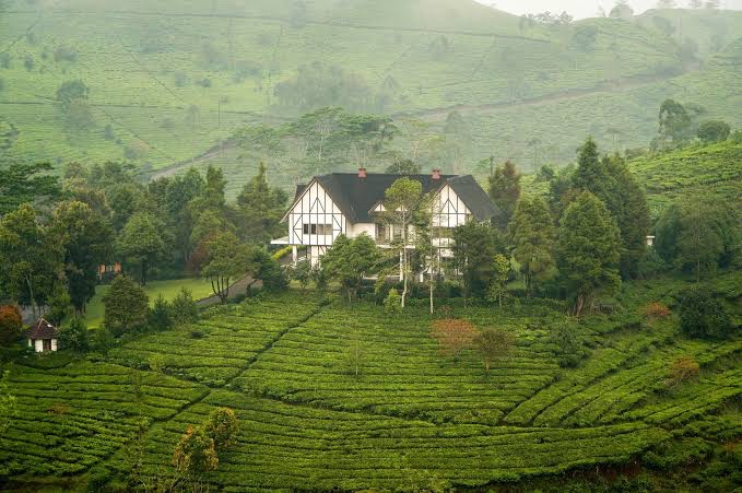 A secluded bungalow surrounded by Sri Lankan tea country